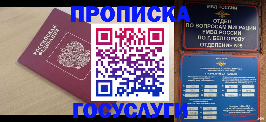 прописка законно в Козельске